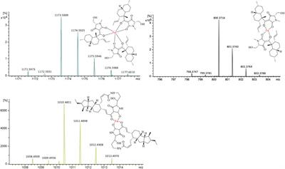 Polycyclic Tetramate Macrolactams—A Group of Natural Bioactive Metallophores